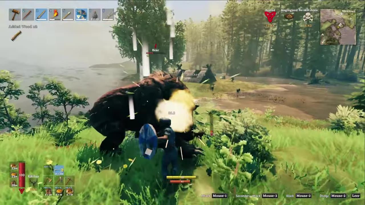 Player character in combat with a bear-like creature surrounded by forest scenery.