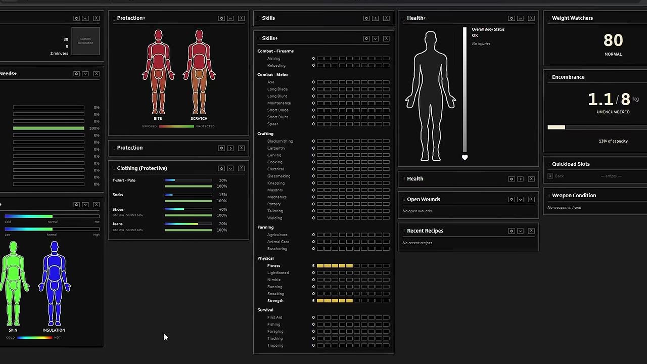 The Project Zomboid character info interface is open with panels for protection, skills, health, weight, encumbrance, needs, and wounds.