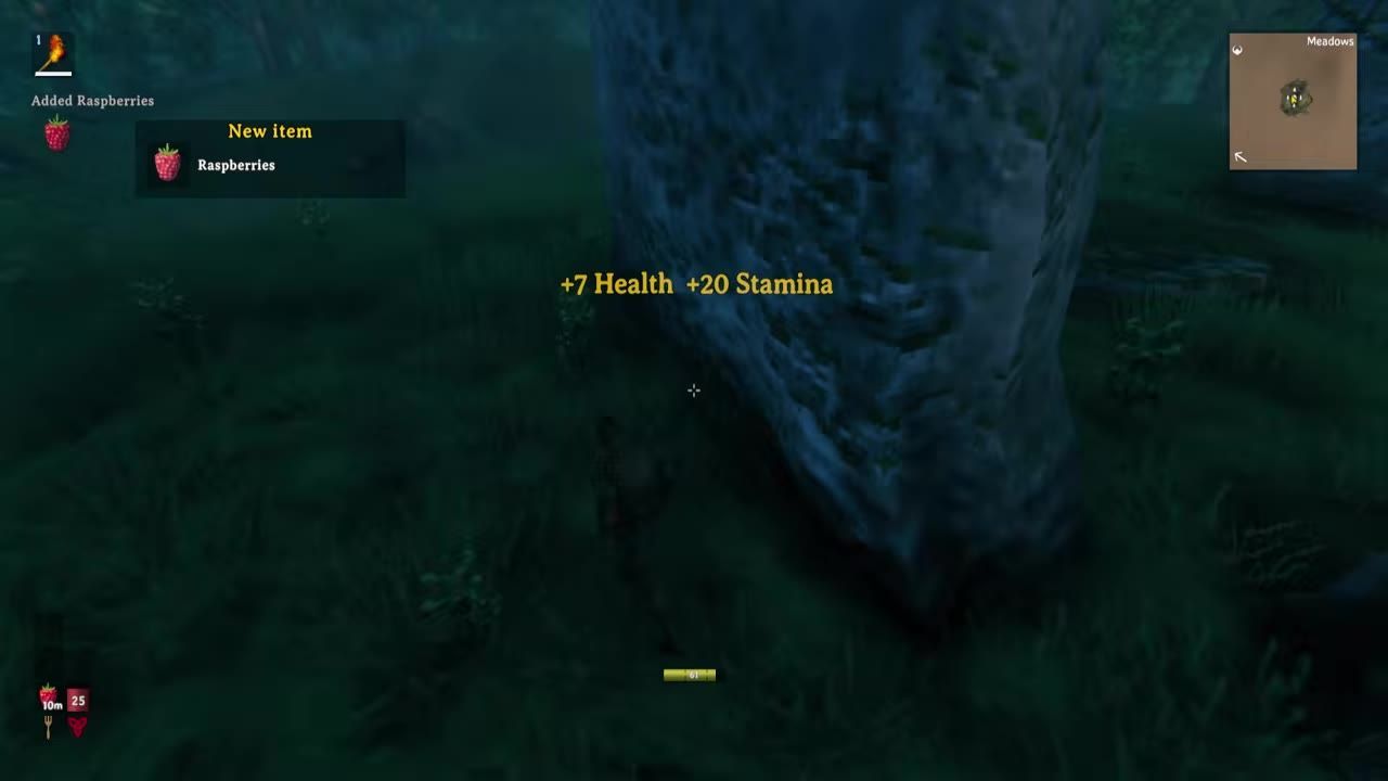A game screen showing raspberries being collected with health and stamina indicators displayed.