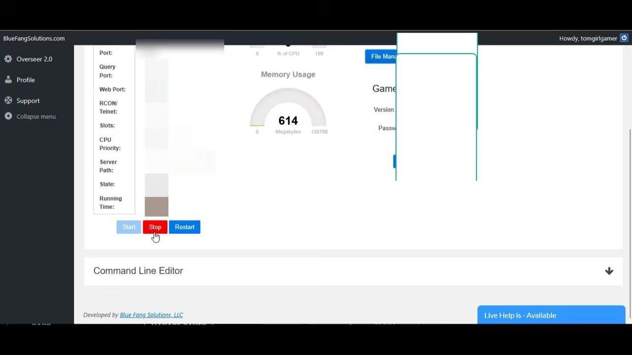 The Bluefang hosting panel displaying server details and some control options.