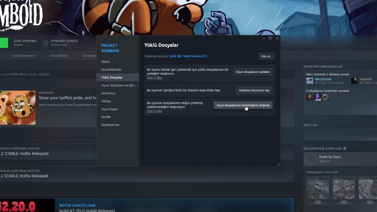 A game launcher window is open displaying options for file management with the verify integrity option highlighted.