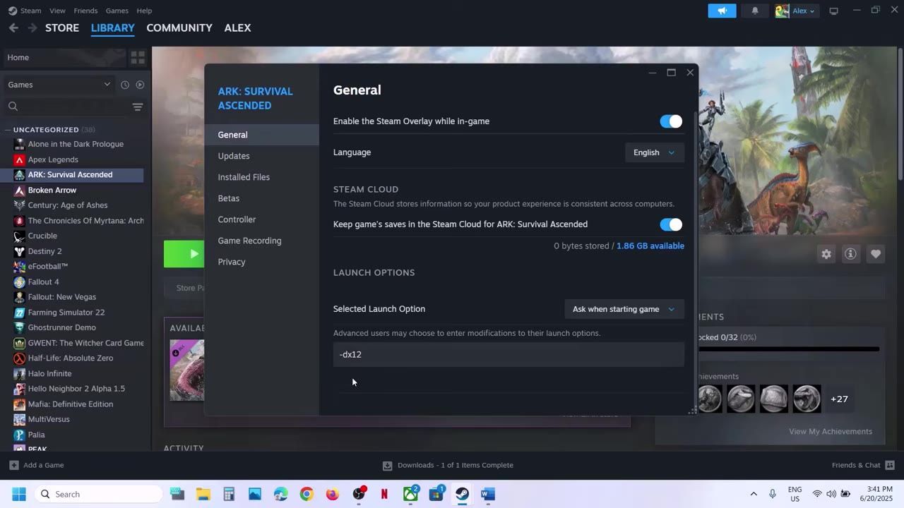 Steam game properties with the launch options menu visible.