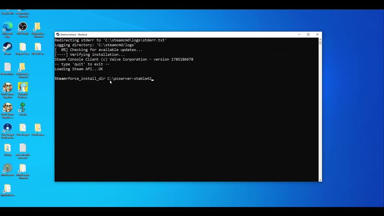 Command window showing the SteamCMD interface with command input.