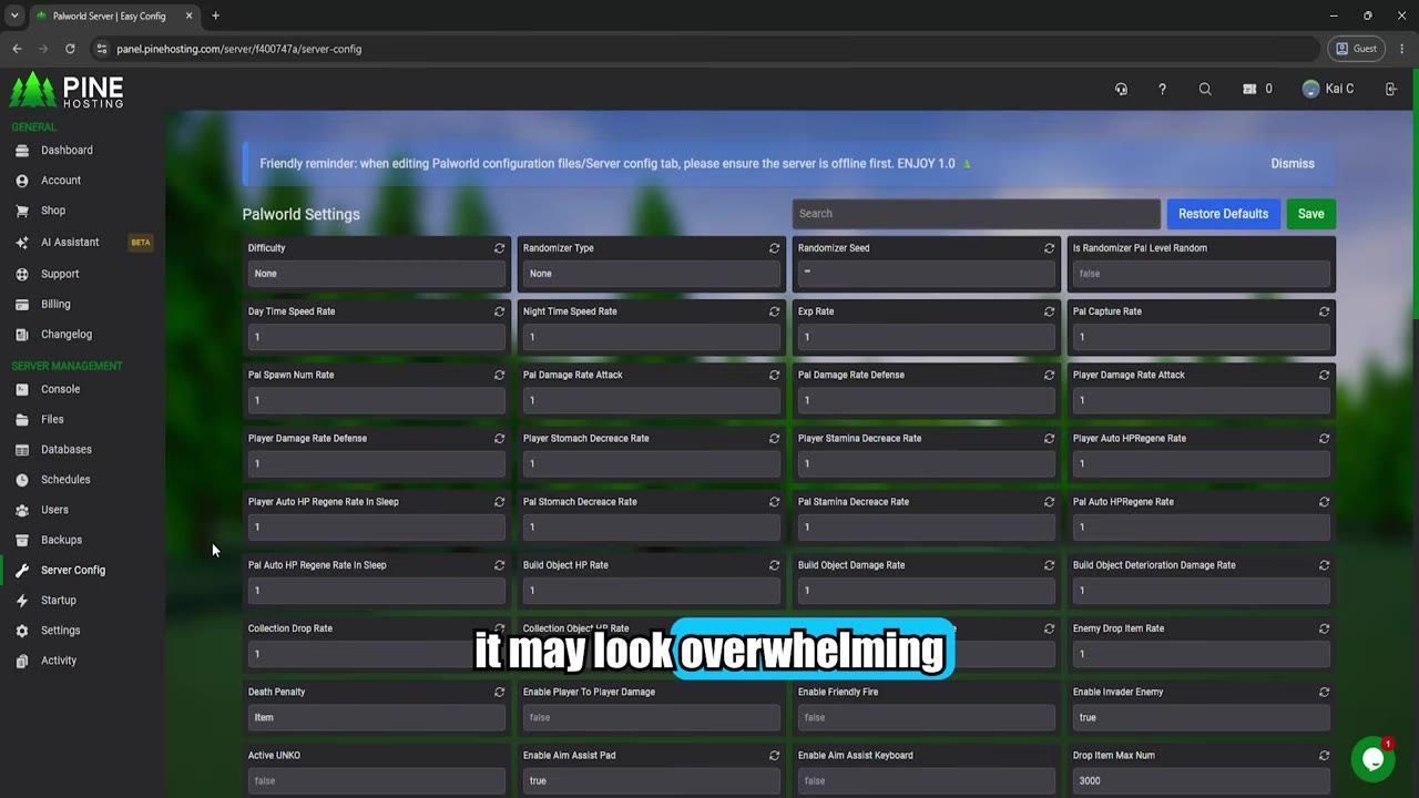 Server settings panel for Palworld with editable configuration options.