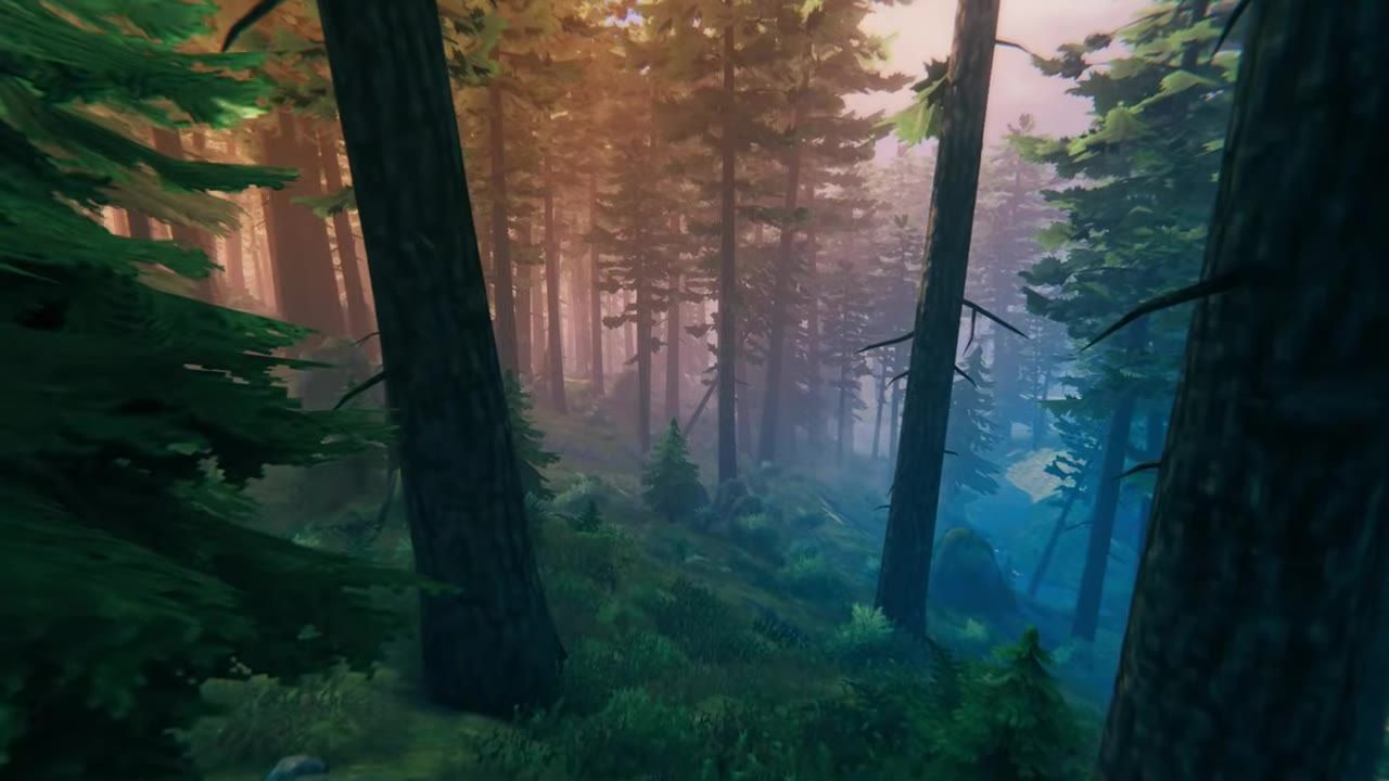 Dense forest with tall trees under diffuse light and a misty atmosphere.