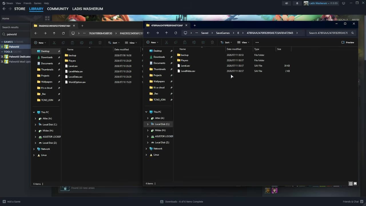 Two folders showing saved games directories for local and server storage.