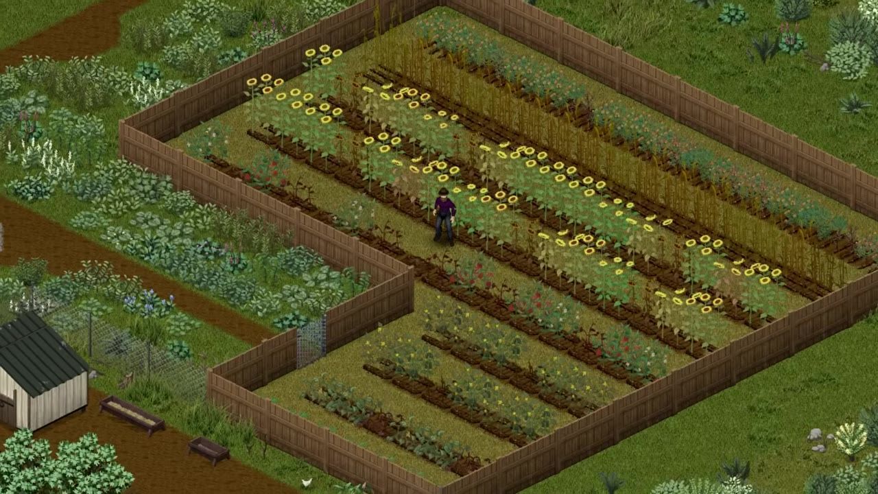 A farming area with rows of various growing crops surrounded by wooden fencing.
