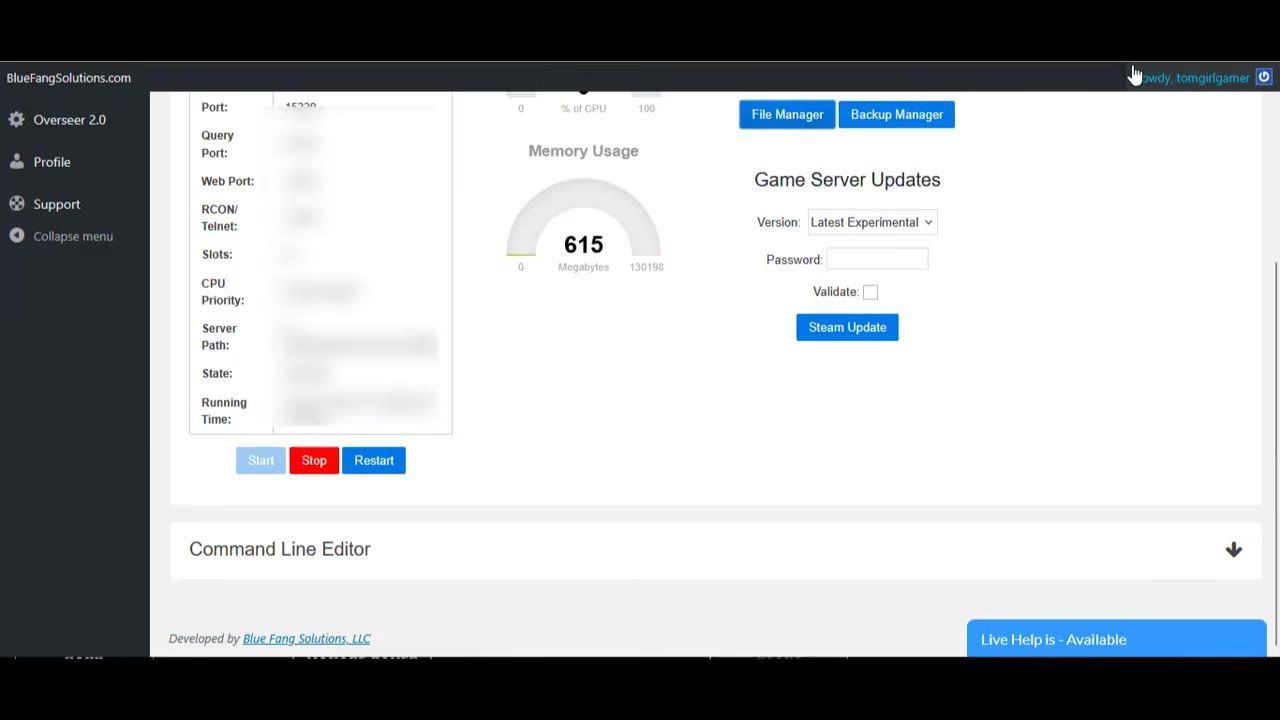 Hosting panel interface showing server options including memory usage, version settings, and buttons for starting, stopping, and restarting the server.