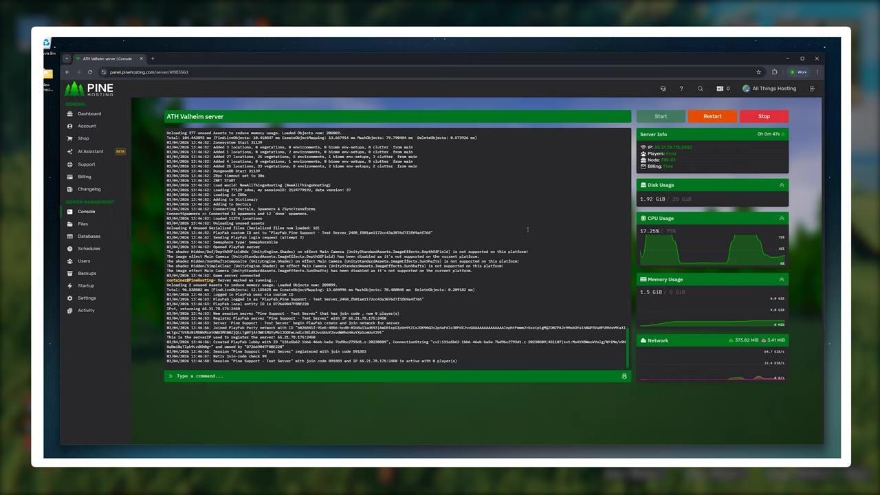 A server console showing initialization messages within a hosting control panel interface.