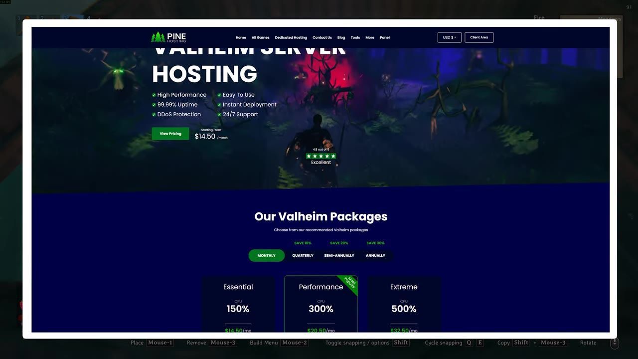 A website page displaying hosting services for Valheim servers, with pricing and features outlined.